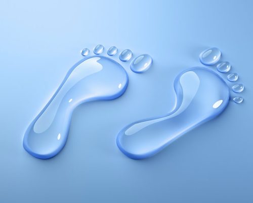 WFN (Water Footprint Network) Su Ayak İzi Ağı Nedir?